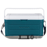 Изотермический контейнер «Арктика», M