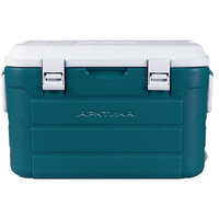 Изотермический контейнер «Арктика», L