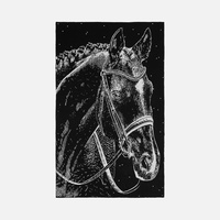 Плед «Вороной»