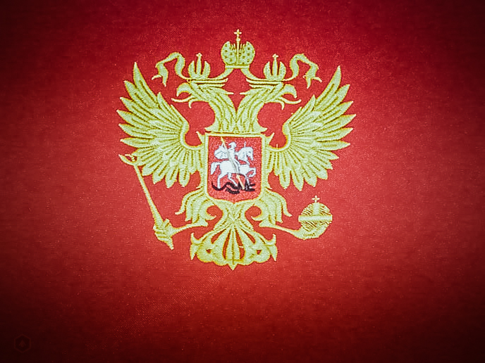 вышивка на крое- Российский орел на красном - 2011 год